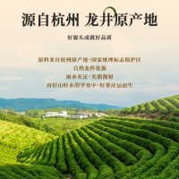 第一江南绿茶龙井200g2024年新茶明前茶叶礼盒罐装春茶自己喝送礼品